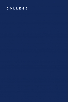 Bermuda en Fine gabardine used 100% Coton
