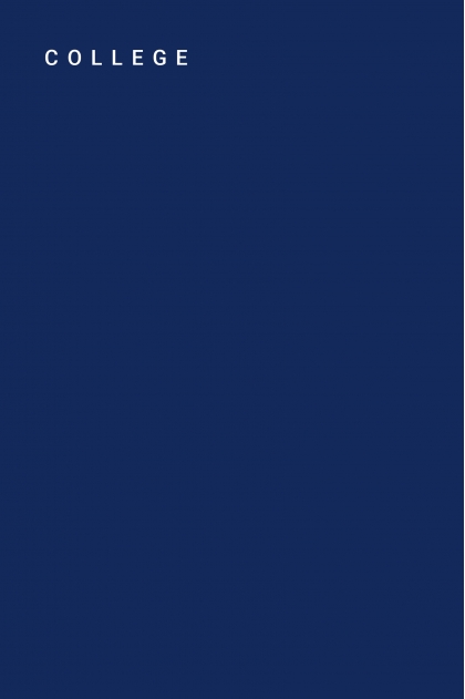 Bermuda en Fine gabardine used 100% Coton